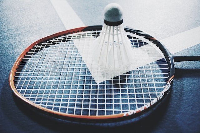 default badminton picture